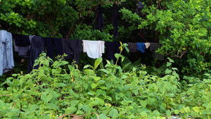 Poster for Episode 6