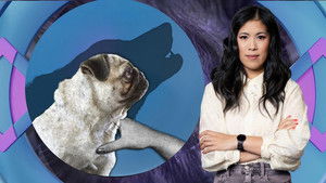 Poster for Bred to ruin: From animal cruelty to famine