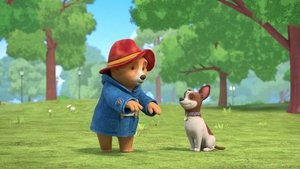 Poster for Paddington Meets Lucky