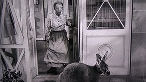 Poster for The Giant Jackrabbit