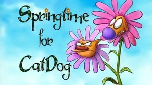 Poster for Springtime For CatDog