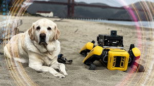 Poster for Spot The Dog?