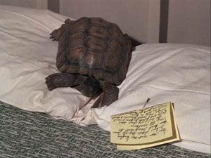 Poster for Eb Elopes Poster for Eb Elopes