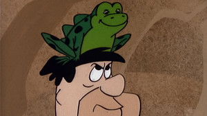 Poster for Frog For A Day Poster for Frog For A Day