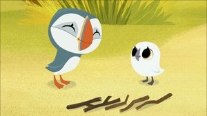 Poster for Puffin Practice