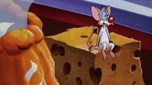 Poster for Better Living... Through Cheese