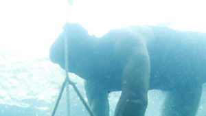 Poster for Episode 9 Poster for Episode 9