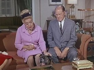 Poster for It's a Dog's Life (a.k.a) It's a Dog's World