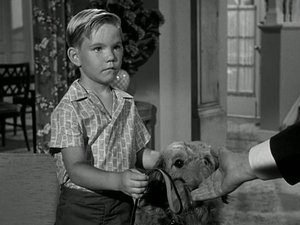 Poster for Hazel's Dog Days