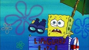 Poster for SpongeGuard on Duty