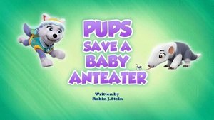 Poster for Pups Save a Baby Anteater