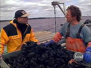 Poster for Mussel Bound