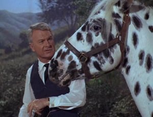 Poster for Horse? What Horse?