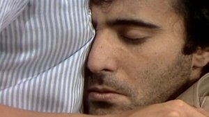 Poster for Chapter 29 Poster for Chapter 29