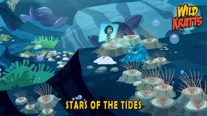 Poster for Stars of the Tides