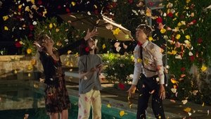 Poster for Seven-Spotted Ladybug