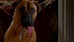 Poster for Loose Men In Tight Jeans