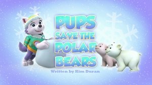 Poster for Pups Save the Polar Bears