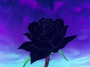 Poster for Life on a flower