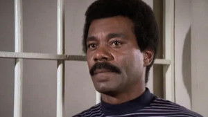 Poster for Quartet for a Blunt Instrument