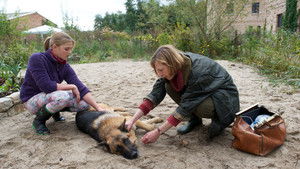 Poster for Episode 19