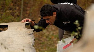 Poster for VIP on Board Poster for VIP on Board