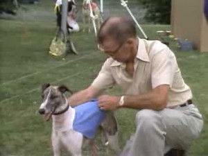 Poster for Born To Run