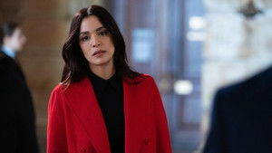 Poster for The Enemy of All Women