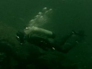 Poster for The Marine Biologist
