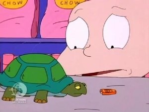 Poster for Turtle Recall