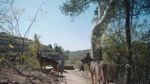 Poster for Episode 33