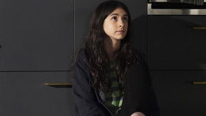 Poster for Gray Bird Grasshopper