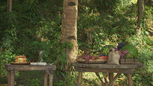 Poster for Episode 13