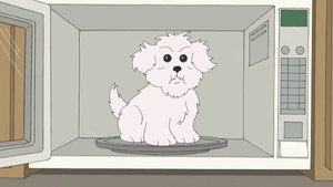 Poster for What Happens if You Feed a Dog Chocolate While He Wears a Tin Foil Hat in the Microwave