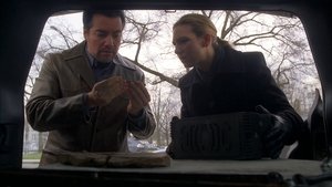 Poster for The Last Sam Weiss