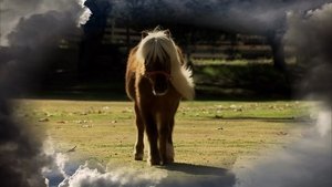 Poster for Li'l Sebastian