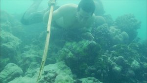 Poster for Castaway (2)