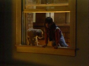 Poster for Punky Finds a Home (1)