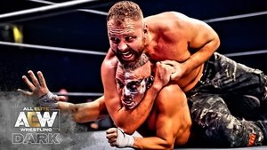 Poster for AEW Dark #13 - 2019 Year in Review