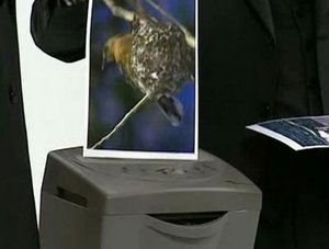 Poster for Endangered Species
