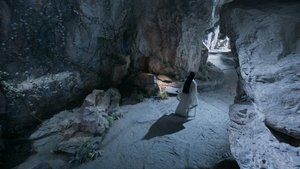 Poster for The Rebirth of the Phoenix Poster for The Rebirth of the Phoenix