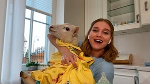 Poster for Episode 8