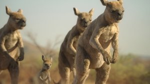 Poster for Desert Lands