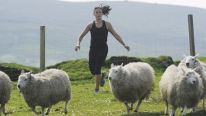 Poster for Get Your Sheep Together