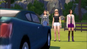 Poster for Trees, Trees and More Trees