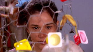 Poster for Do Lixo ao Luxo