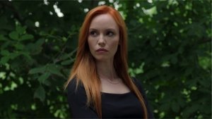 Poster for V-am prins!