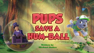 Poster for Pups Save a Hum-Ball