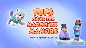 Poster for Pups Save the Marooned Mayors