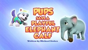 Poster for Pups Save a Playful Elephant Calf